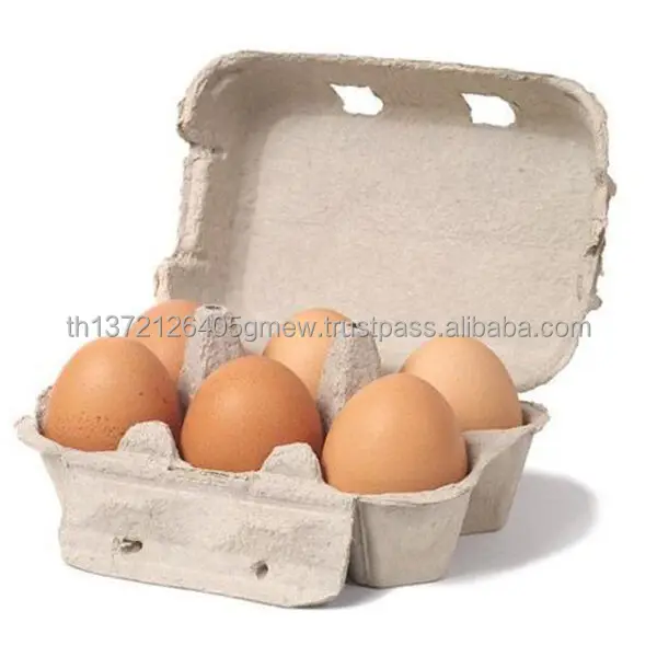 egg-6-pack-600x600.jpg