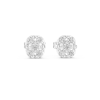 Oro blanco
