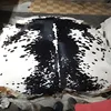 Bold Black and White