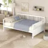 White Color