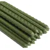 green Color