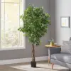 Green Color