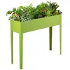 Fruit green Color