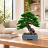 Green Type C