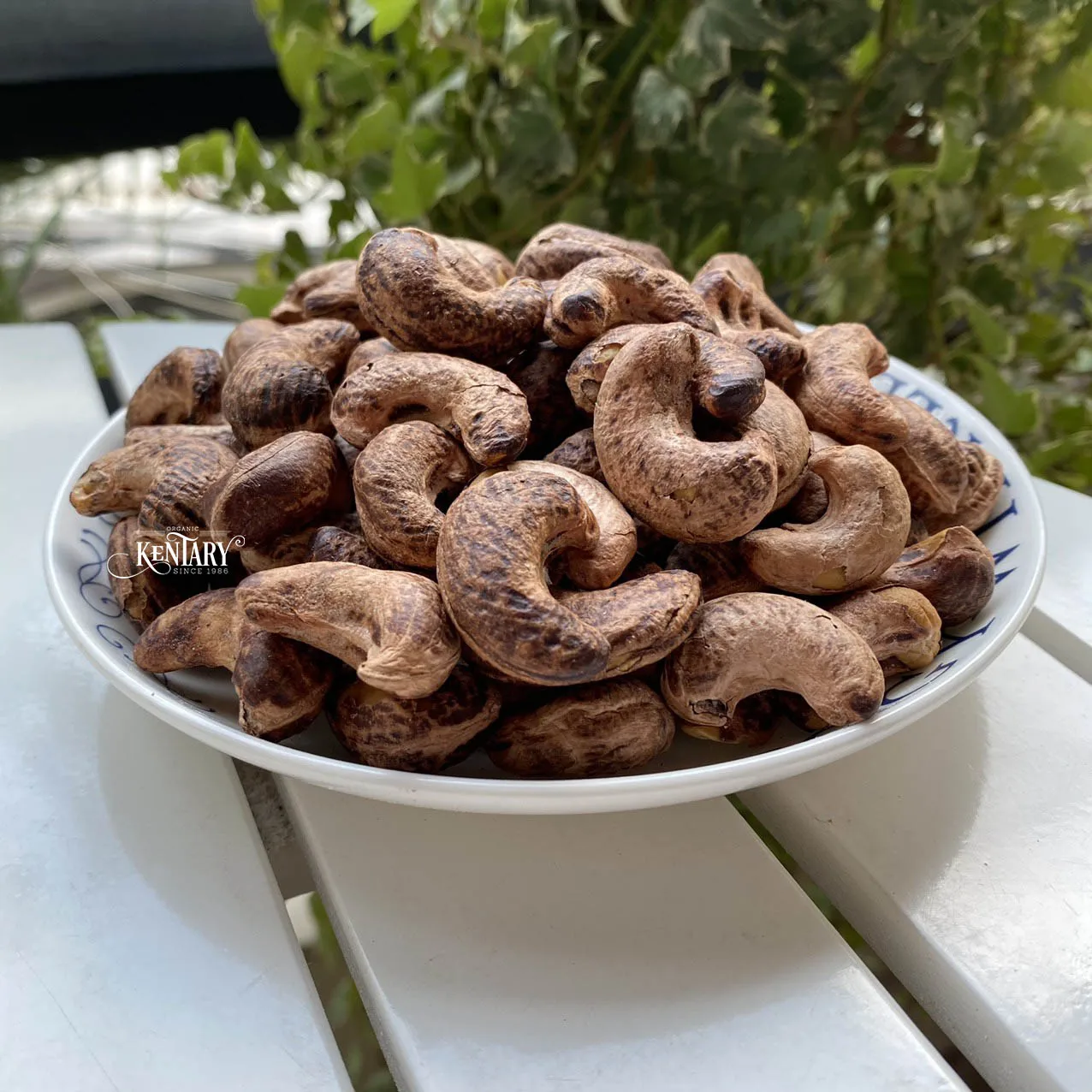 Bulk Roasted Charcoal Cashew With Skin Fresh Vietnam Wholesale Nut Snacks Salt Baked Nuts for Snack Raw Processed Cashew Nut