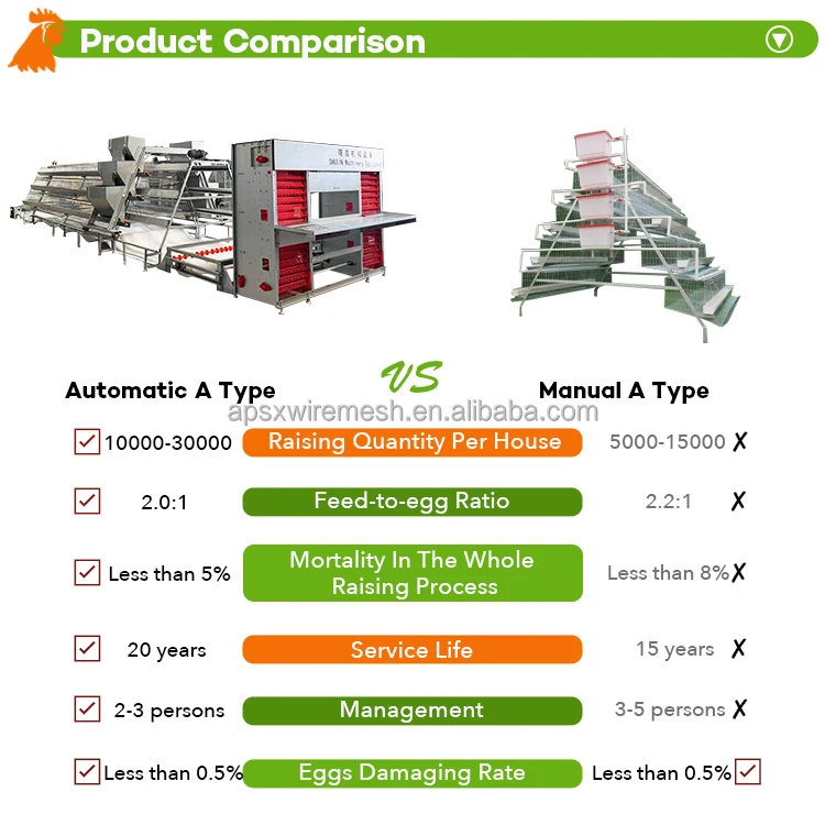 10000 Birds Automatic Chicken Egg  Layer Cages  System Laying Hens Animal  Poultry Battery Cages for Poultry Farm Prices