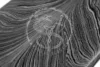 Feather Pattern