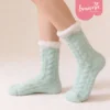 Menta