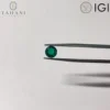 Sin certificación IGI