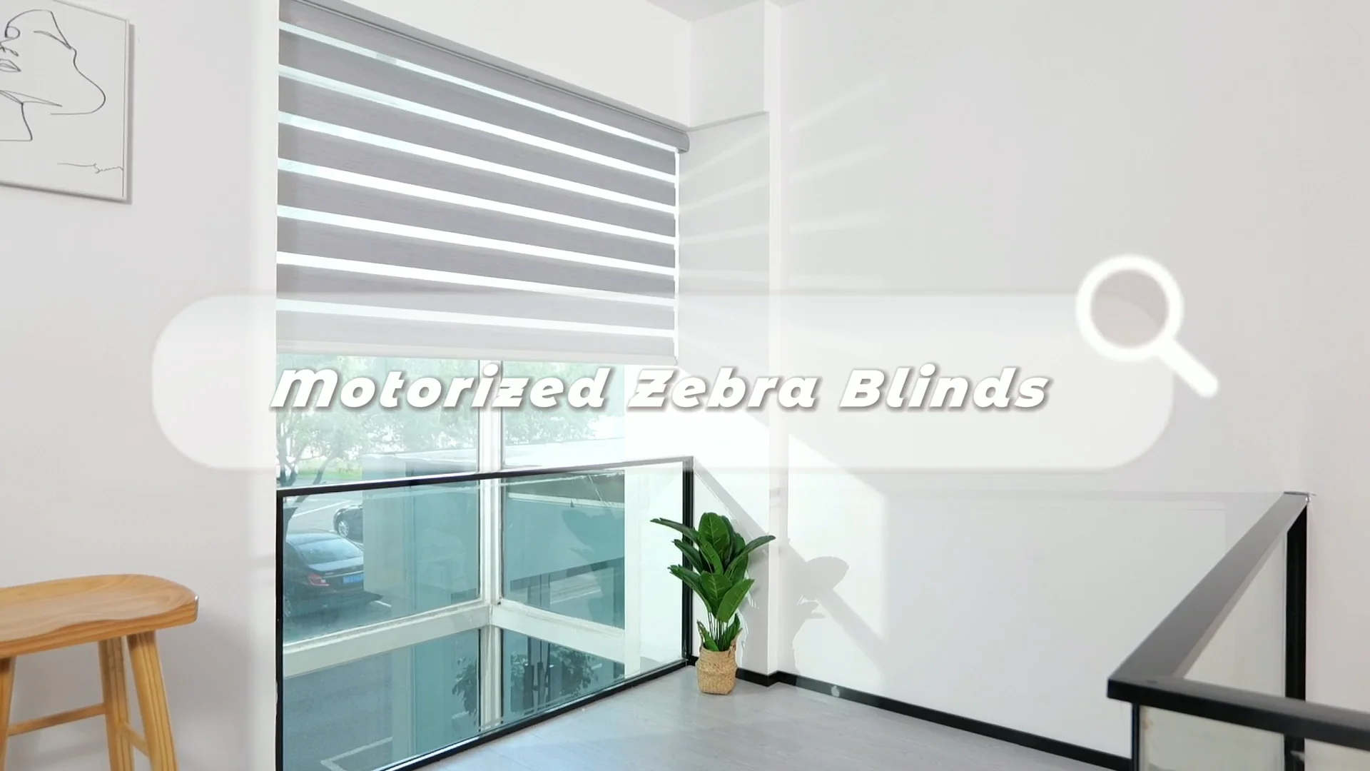 Fantastic Automatic Window Zebra Blinds App Control Smart Double Layer