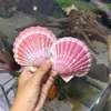 เฉดสีที่เข้มขึ้น