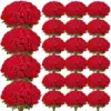 Red Color