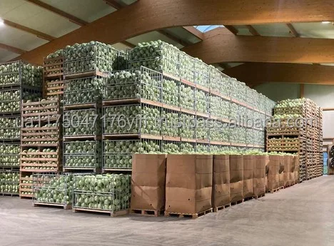 brocolli-warehouse.png