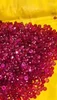 Deep Red to Magenta