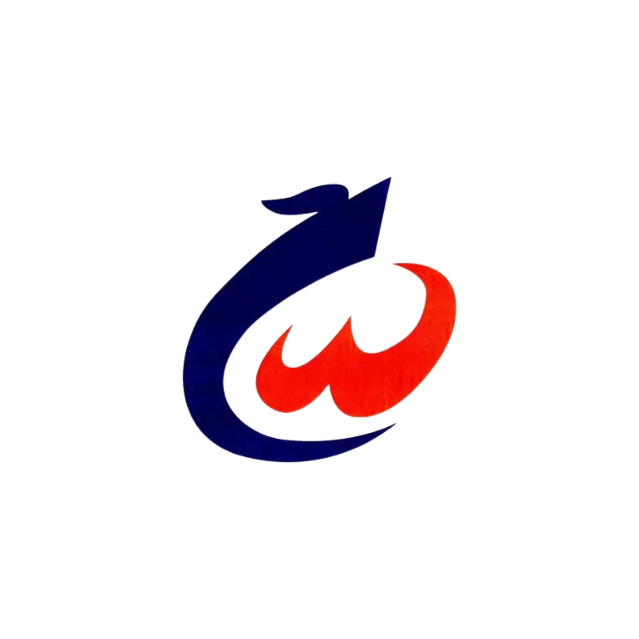 Company overview