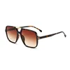 C5: Tortoise/ Brown Gradient