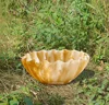 As pic