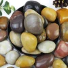 multicolore 20 libbre Colore