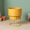 Amarillo