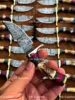 Damascus & Stag Horn