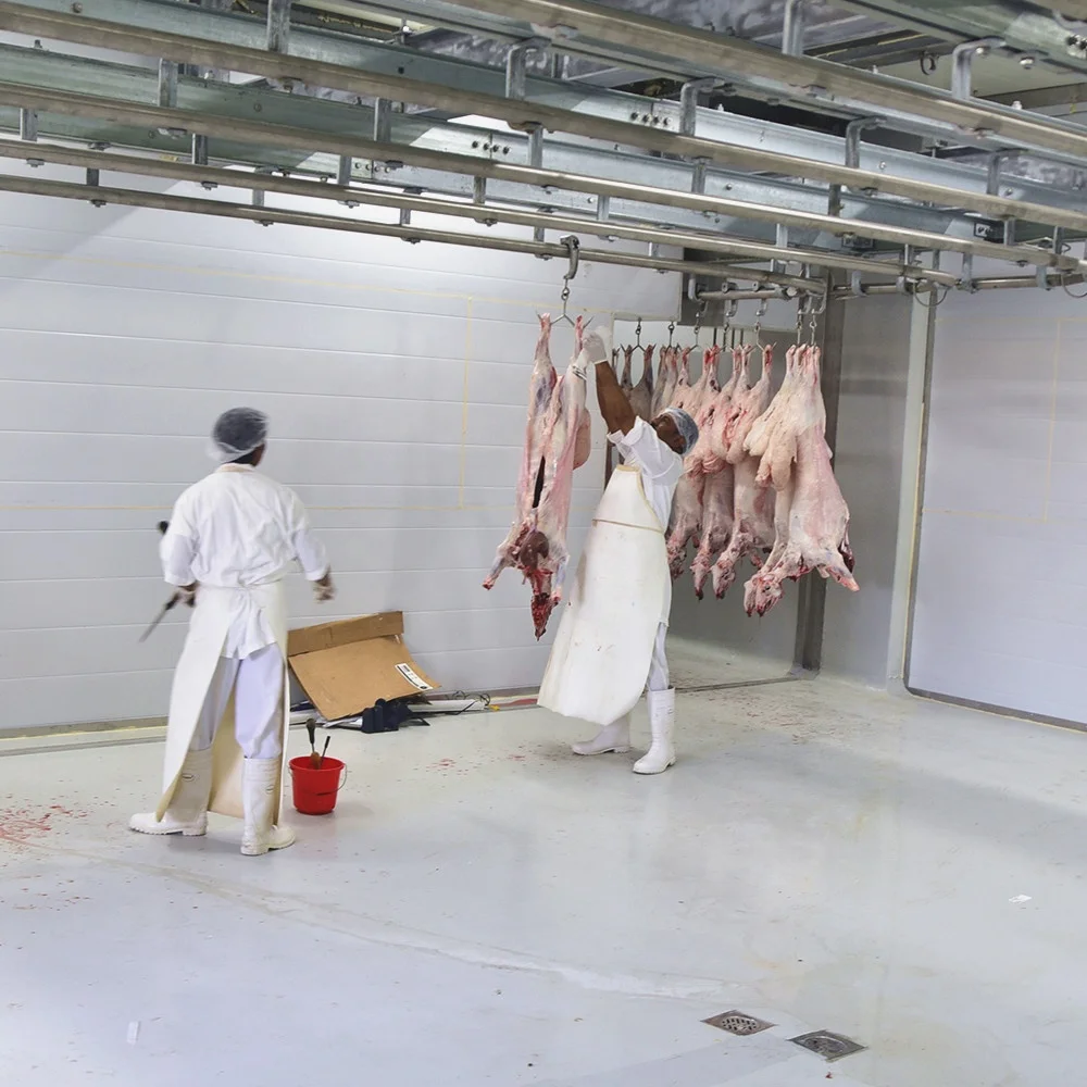 Cow/Sheep/Goat/Camel Complete Turnkey Modern Slaughterhouse/Abattoir