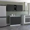Black / White Color