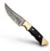Polished Gold-Tone Brass, Solid Black Composite Scales