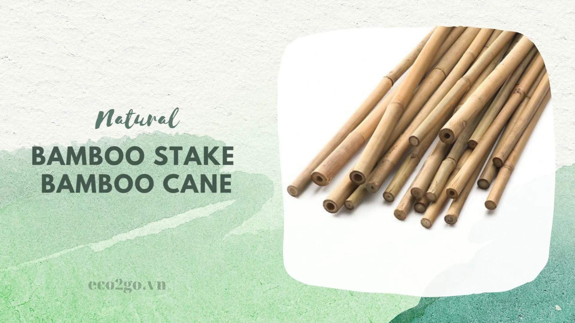 Wholesale 2024 Bamboo Plant Stake Bamboo Tree Stake Bamboo Cane With   S84ebe1ef56284c85a5a896b7bd4a5095r 