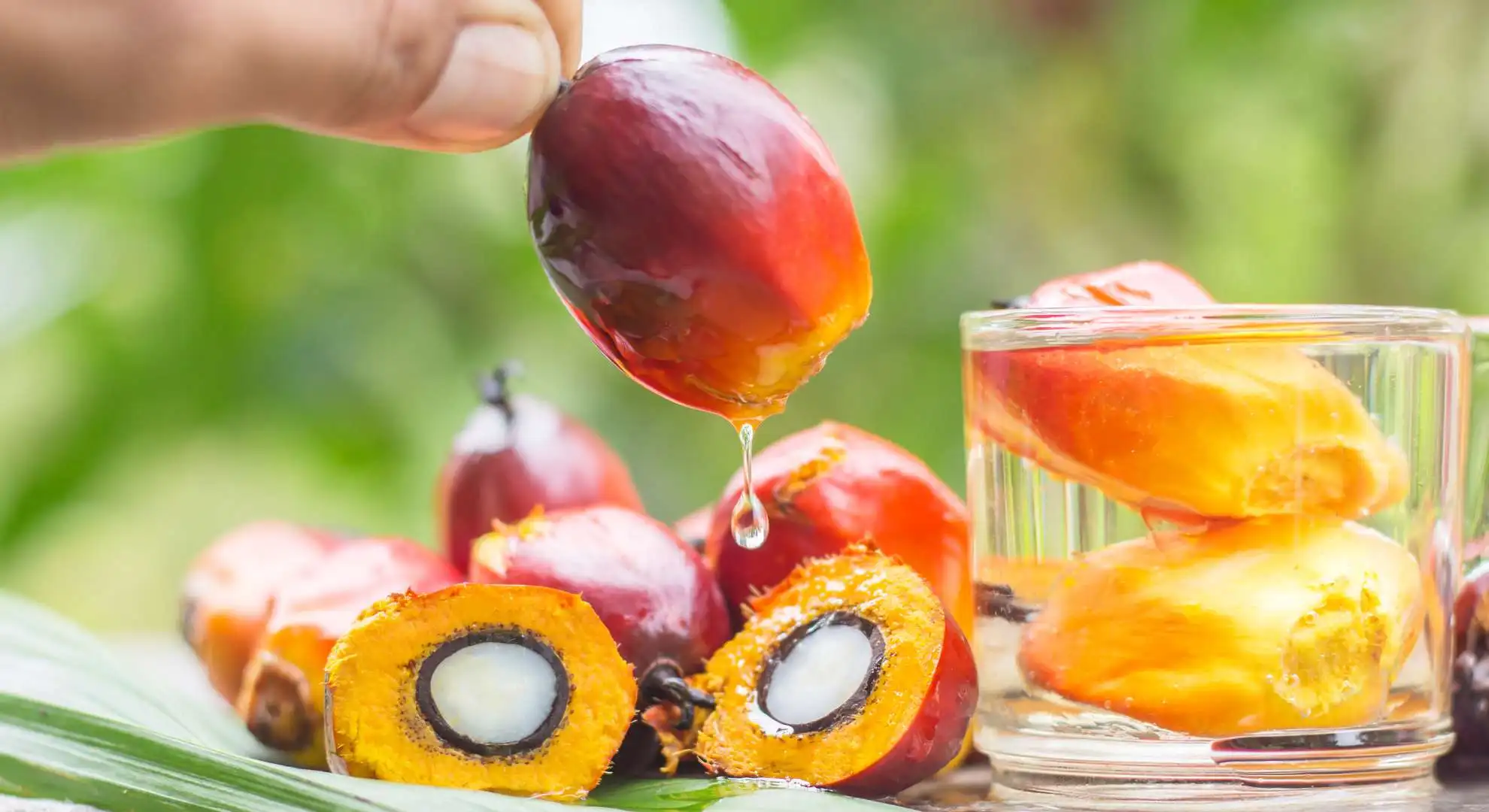 Wholesale Organic Refined High Quality Pure Palm Oil in Plastic Bottle & Bulk Drum for Cooking Factory Available Wholesale rate