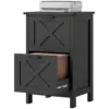 Distressed Black Color