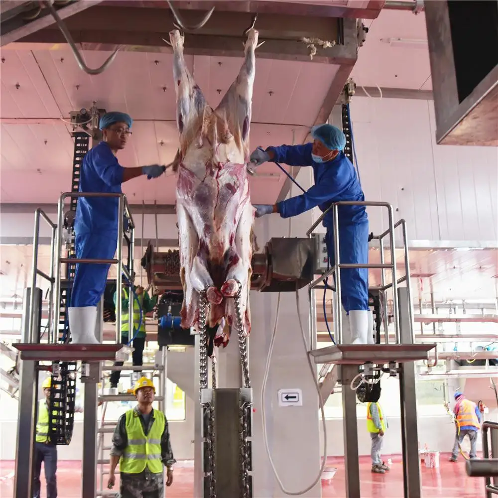 Cattle slaughtering line with complete slaughtering line for cattle butcher