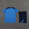 Bleu et noir