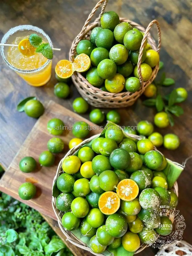 Fresh Green Kumquat Citrus With Honey From Vietnam / Fresh Kumquat