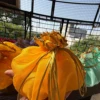 Amarillo