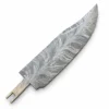 Plume 2