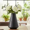 Como se muestra