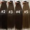 Colori Marroni