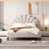as Pic Color