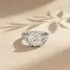Plata