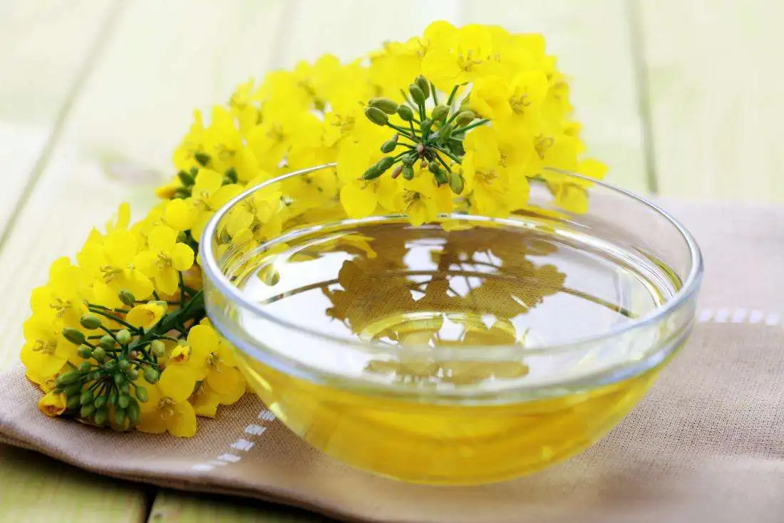 Wholesale Cheap Supplier Hot Selling High Quality 100% Purity Organic ISO Certified Canola Oil Bulk Fast Delivery Buy Now! Top
