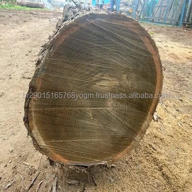 Niove Wood (staudtia Kamerunensis) Square And Round Logs Buy African