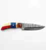 Marrón Natural Ciervo, Azul Brillante, Marfil Blanco Rojizo, Rojo Carmesí