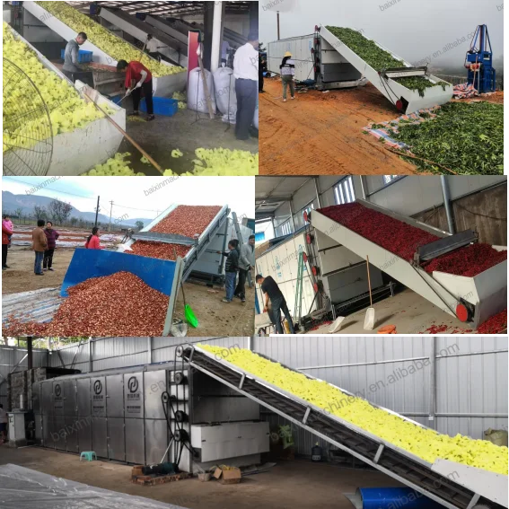 Good Quality High Capacity Continuous Copra Dryer