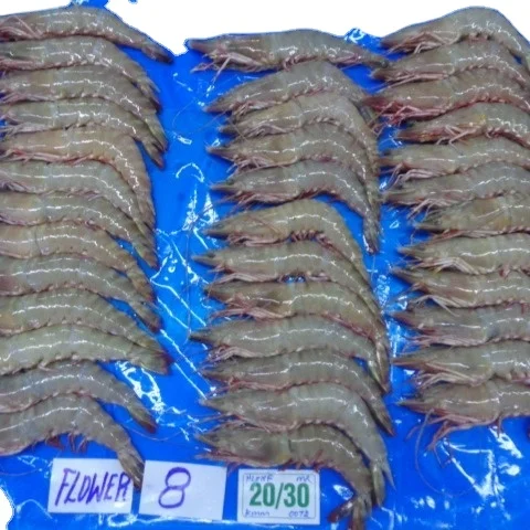 Supply Raw Frozen Head On Shell On Flower Shrimp At Best And Cheapest Factory Price For Sale Indian Origin Buy Hoso Flower Shrimp Supply Raw Frozen Head On Shell On Flower