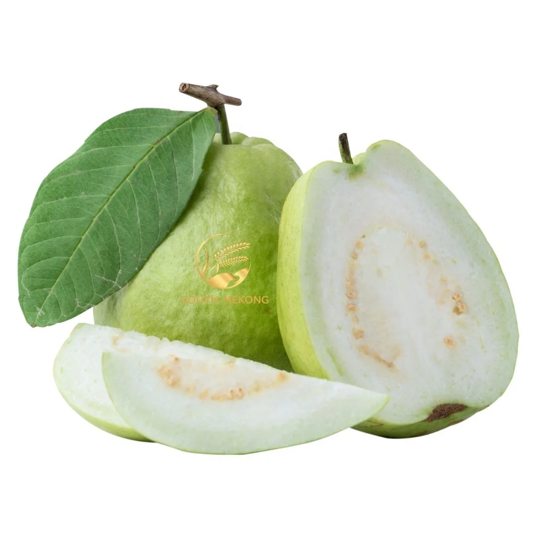 Fresh White/Pink Guava From Mekong Delta Vietnam Is Ready to Export Worldwide Selling in Bulk