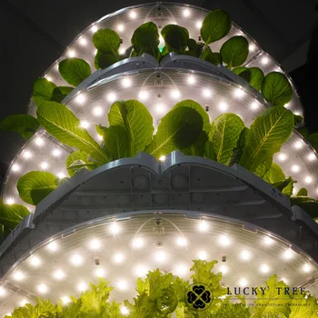 Small led hydroponics growing system smart hydroponic home indoor system organic vegetable