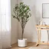 Green Color