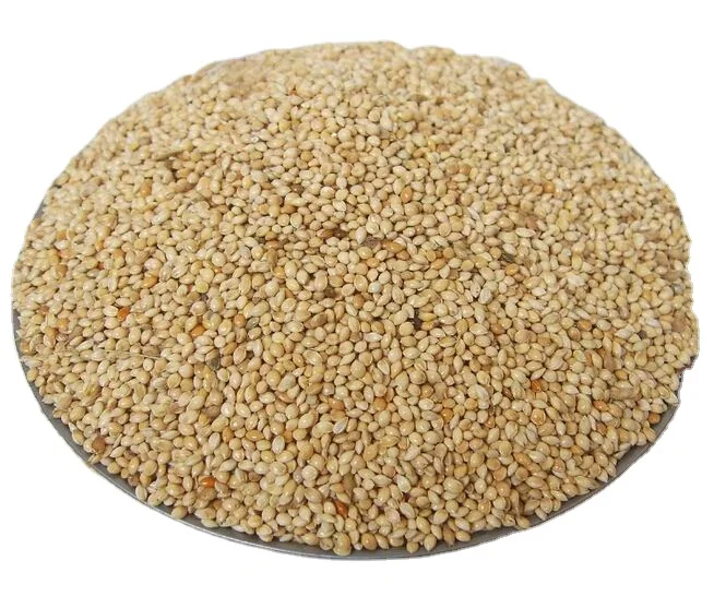 White Millet For Bird Seed New Crop Buy White Millet,Millet For Sale,Brown Millet Product on