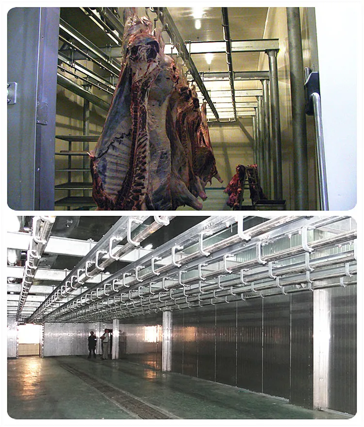 High-efficiency stainless steel carcass cleaning system for cattle slaughterhouses