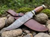 16: Overall : 15" Blade length: 10" Handle length: 5"